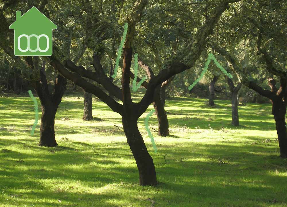 PRÓXIMOS LANZAMIENTOS EN GUADALIX DE LA SIERRA